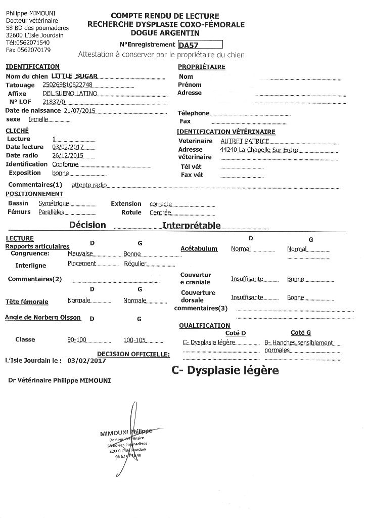 Little sugar del Sueno Latino