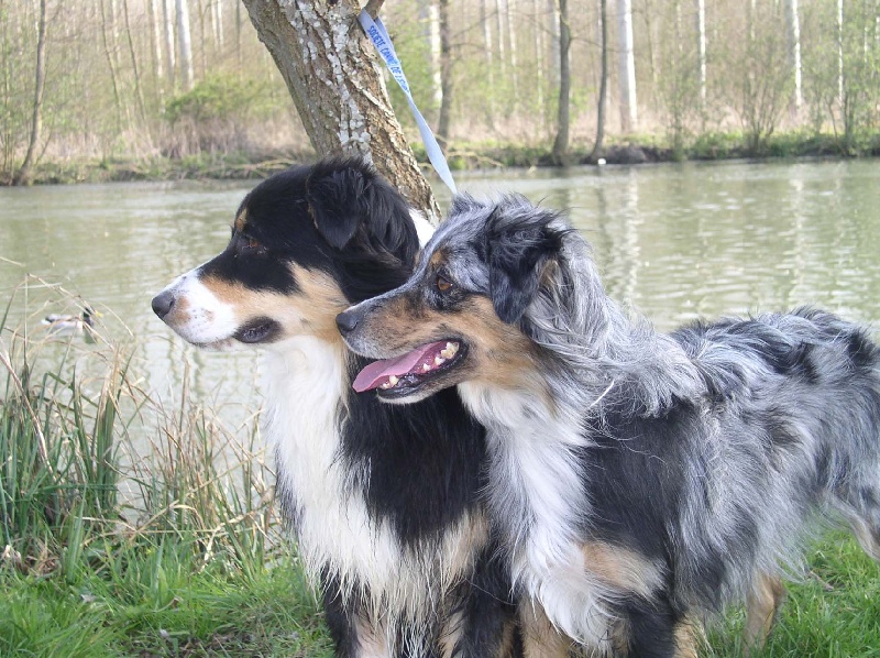 Publication : Domaine de yes I