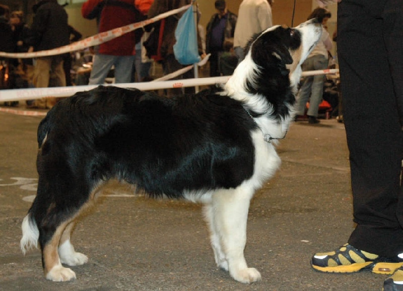 Publication : Domaine de yes I