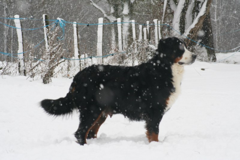 Publication : du Jardin des Muses