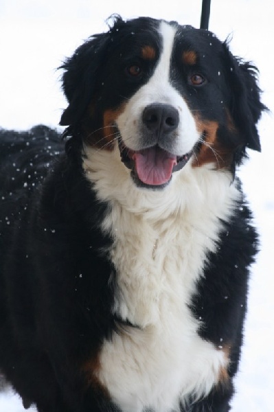 Publication : du Jardin des Muses