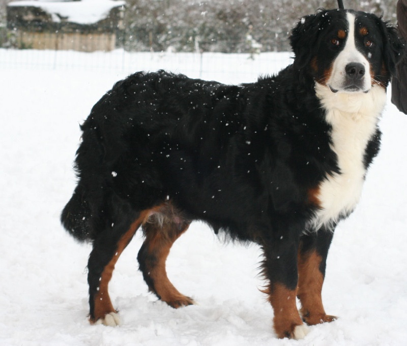 Publication : du Jardin des Muses