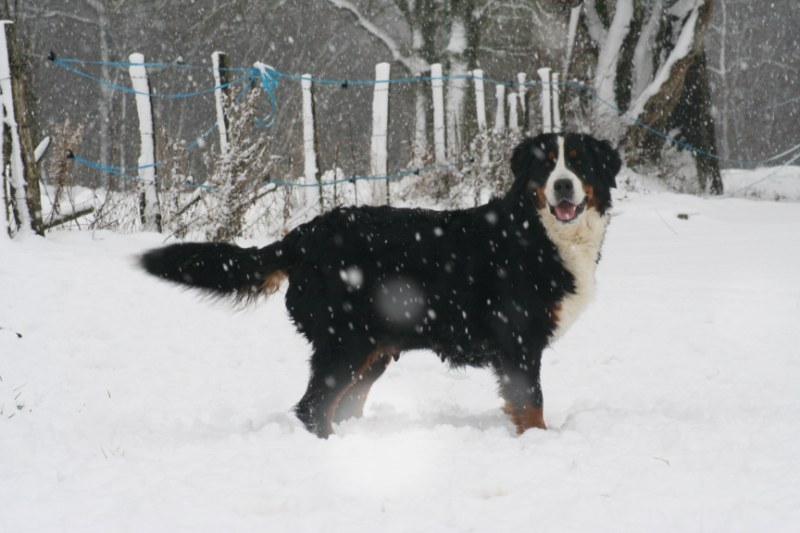 Publication : du Jardin des Muses