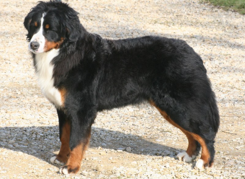 Publication : du Jardin des Muses