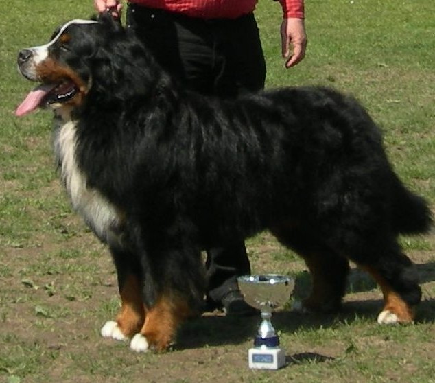 Publication : du Jardin des Muses