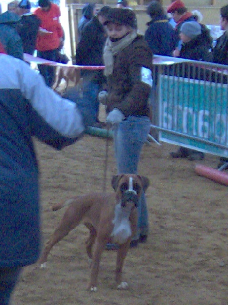 C'shiva du domaine des trois vallées - 3ème Excellent