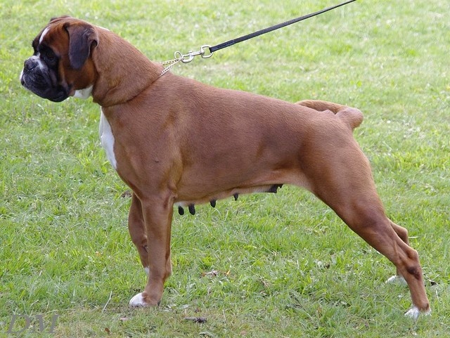 C'shiva du domaine des trois vallées - 3ème Excellent