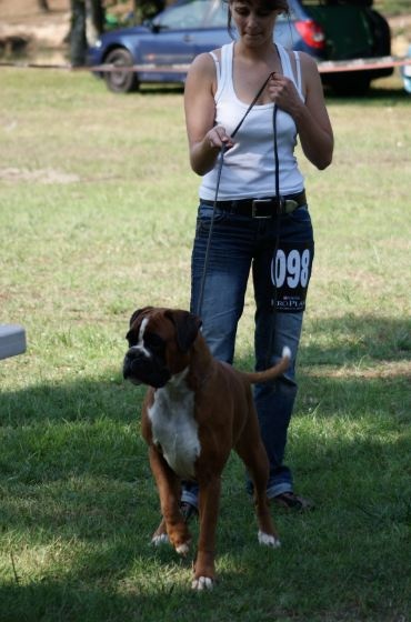 C'shiva du domaine des trois vallées - 1ère Excellent + médaille d'or