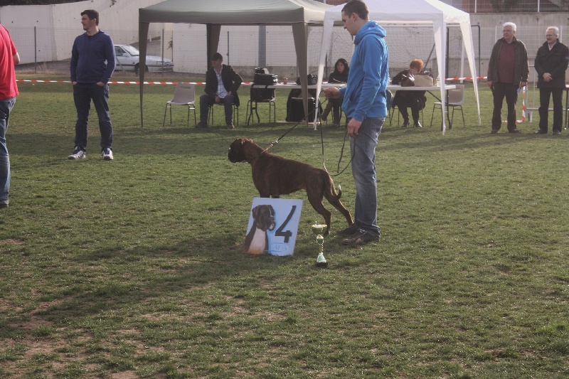 Gina du Chêne Feuillu - 4ème/22 - Excellent