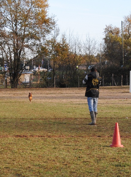 C'shiva du domaine des trois vallées - Assez Bon - 87-79-71 - 6ème /8
