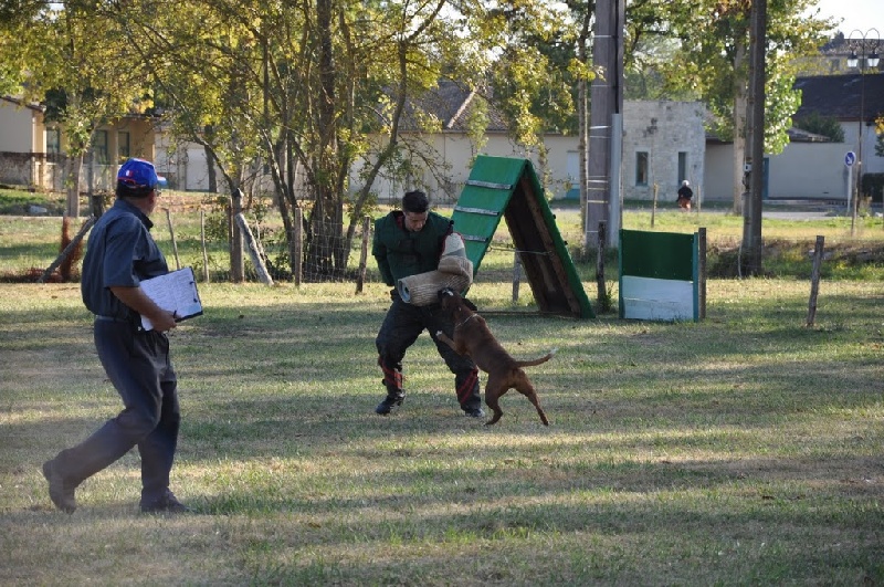 C'shiva du domaine des trois vallées - 1ère en RCI 2