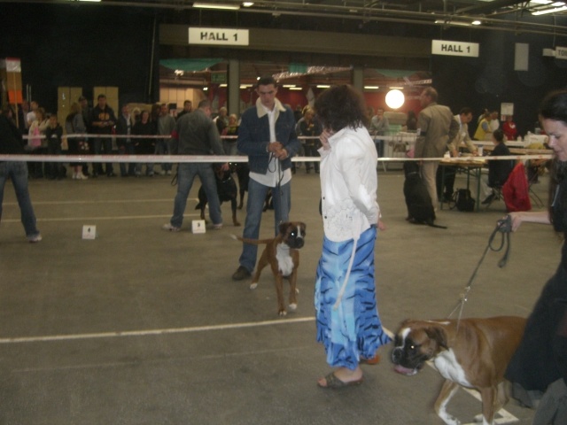 C'shiva du domaine des trois vallées - 1er Excellent R.C.A.C.S et R.C.A.C.I.B