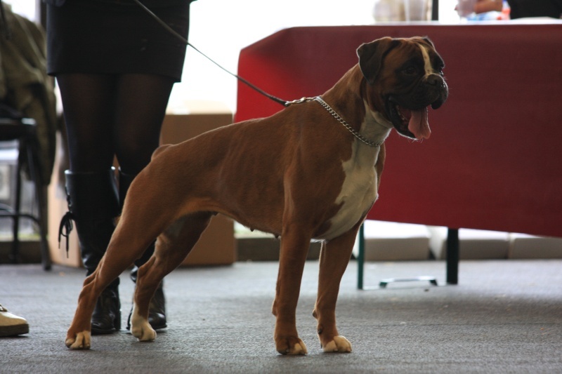 C'shiva du domaine des trois vallées - 1er Excellent