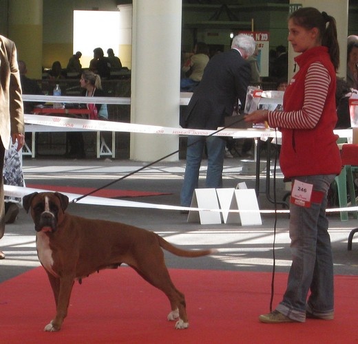 C'shiva du domaine des trois vallées - 1ère Excellent + RCACS
