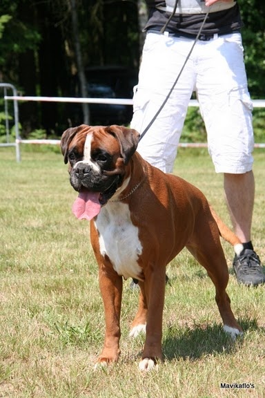 C'shiva du domaine des trois vallées - 4ème Excellent