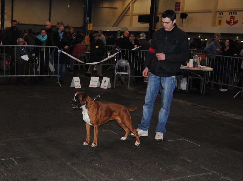 C'shiva du domaine des trois vallées - 1ère Excellent