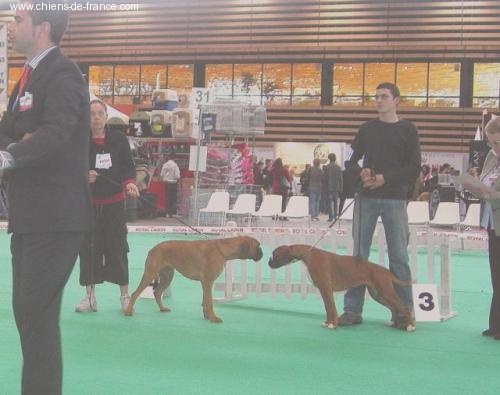 C'shiva du domaine des trois vallées - 3ème Excellent