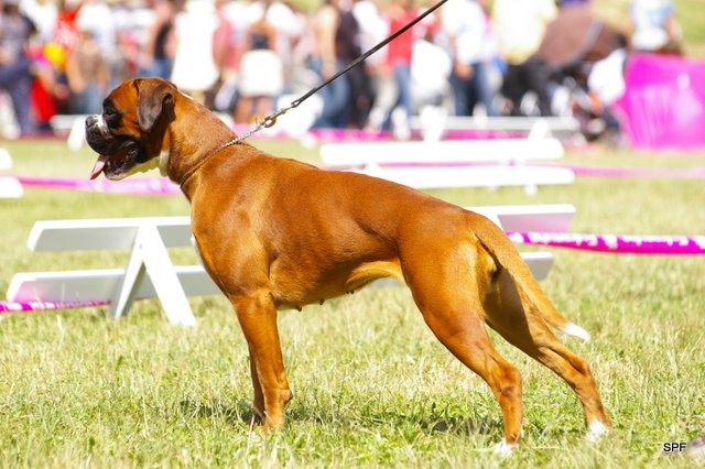 C'shiva du domaine des trois vallées - 4ème Excellent