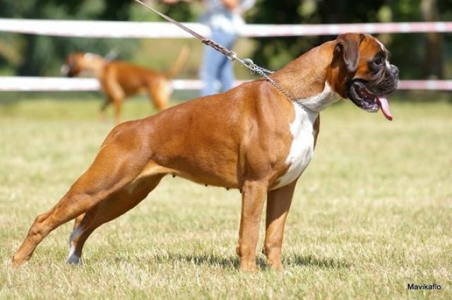 C'shiva du domaine des trois vallées - Excellent