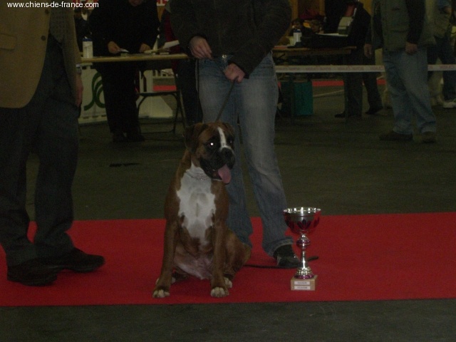 C'shiva du domaine des trois vallées - 1ère TP Meilleure Puppy