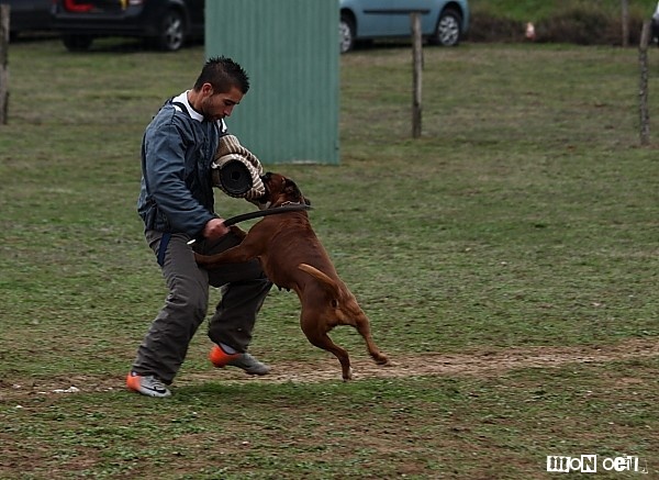 C'shiva du domaine des trois vallées - RCI II - 1ère/3 - 82.71.72