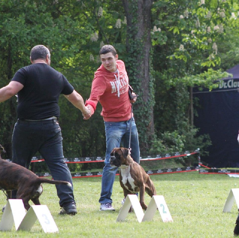 Gina du Chêne Feuillu - 1ère Excellent + Médaille d'Argent