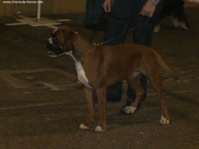 C'shiva du domaine des trois vallées - 2ème Très Prometteur
