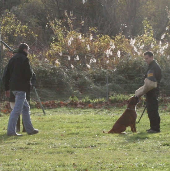 C'shiva du domaine des trois vallées - Admise