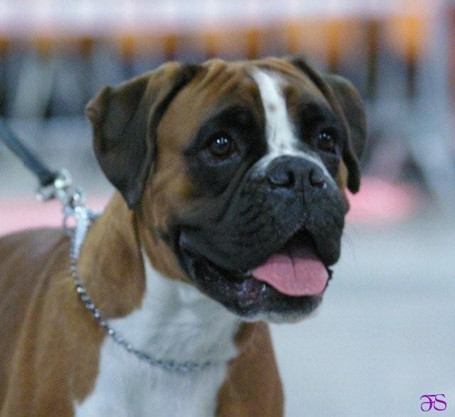 C'shiva du domaine des trois vallées - 2ème Excellent