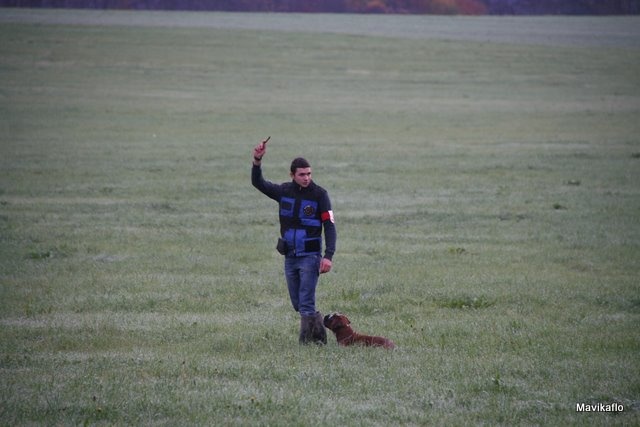 C'shiva du domaine des trois vallées - 2ème/3, 82-90-90 Mention Bon