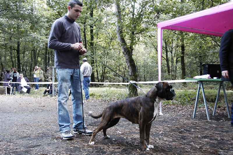 Gina du Chêne Feuillu - 3ème Excellent