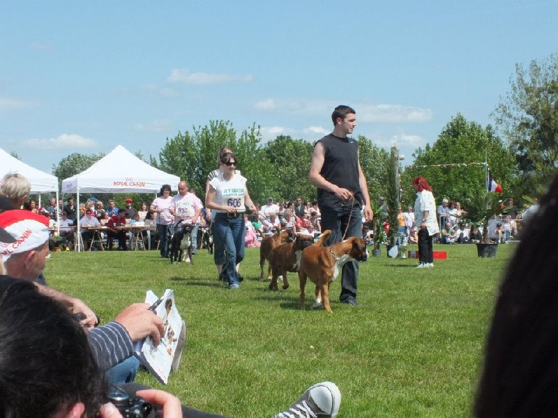 C'shiva du domaine des trois vallées - EXCELLENT