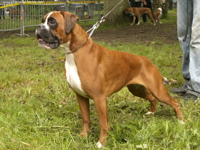 C'shiva du domaine des trois vallées - Excellent