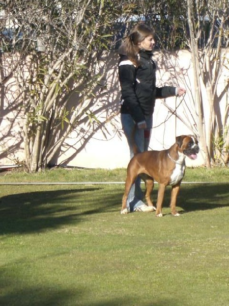 C'shiva du domaine des trois vallées - Excellent NC