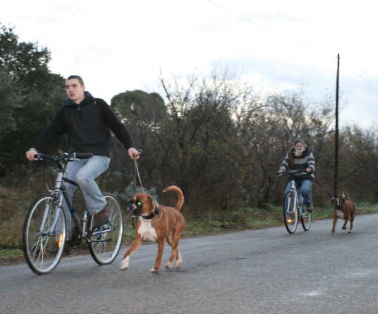 C'shiva du domaine des trois vallées - Admise