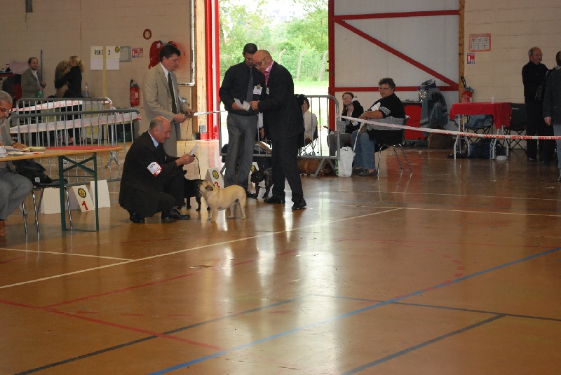 Daisy (Sans Affixe) - 3 EME EXCELLENT