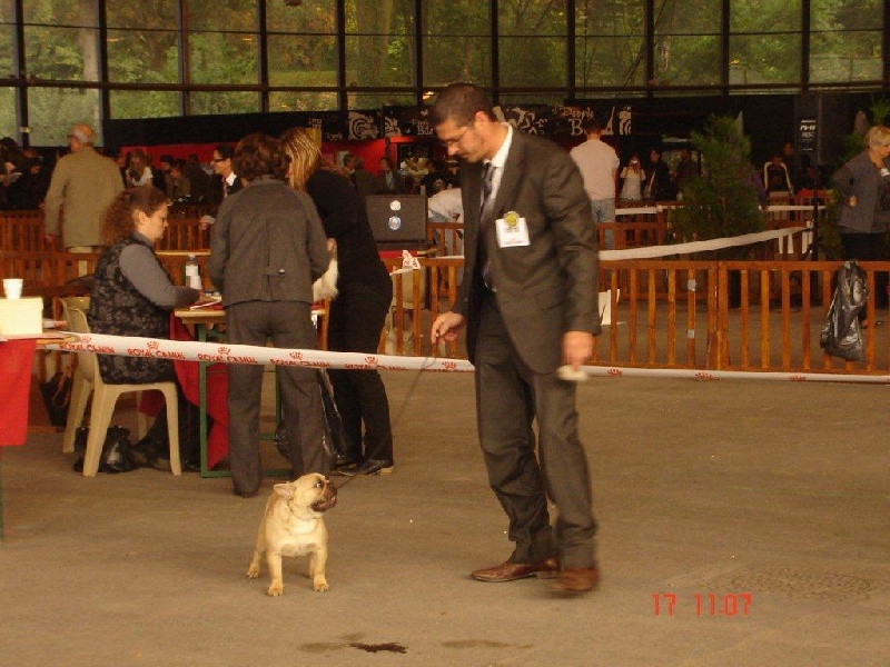 Indiana iz palevih buldogov - 1 ERE TRES PROMETTEUR