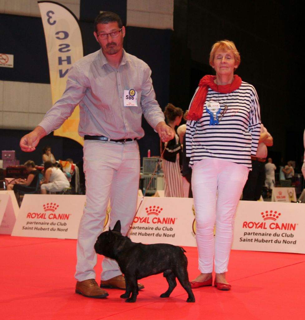 Opium gintaro aidai - 1 EXC CACS