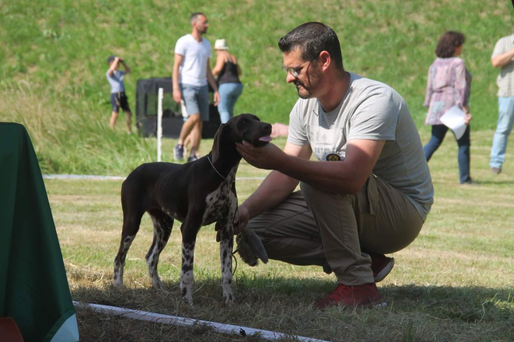 Sirka du domaine des molosses - MEILLEUR PUPPY