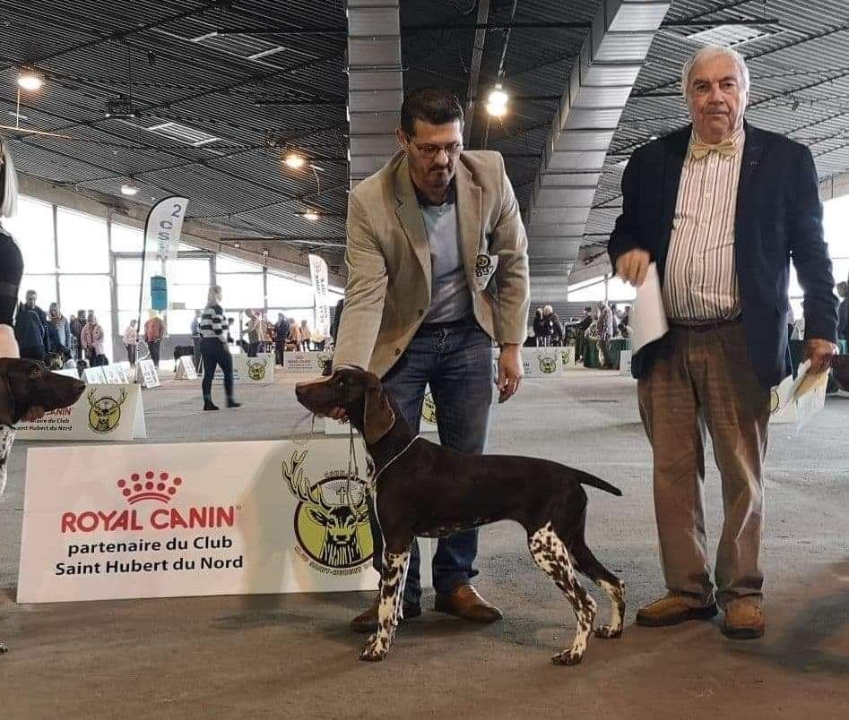 Sirka du domaine des molosses - MEILLEUR JEUNE 1er excellent