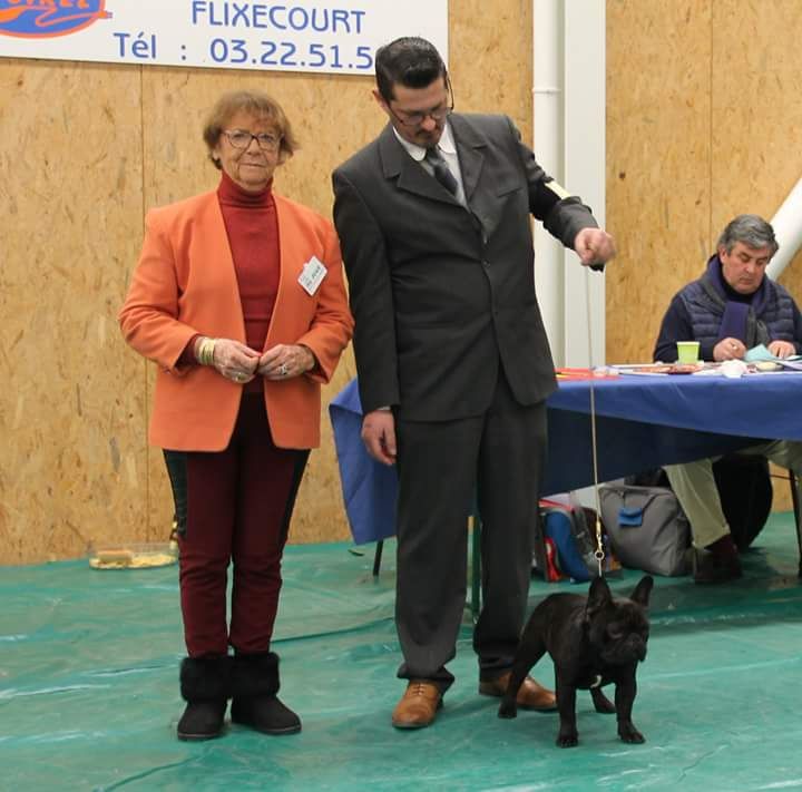 Opium gintaro aidai - BOB JUNIOR