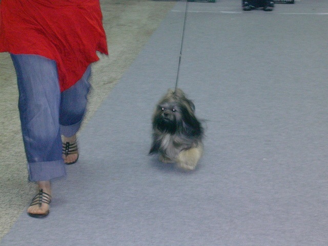 Dipika-debi des fillots de morphée - 1ère EXC MEILLEUR JEUNE