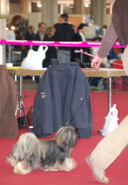 Dipika-debi des fillots de morphée - 4ème EXC