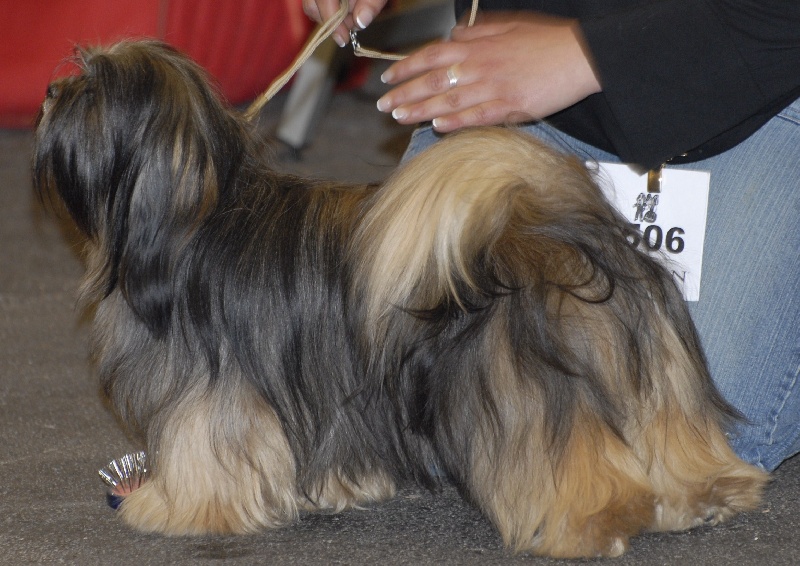 Dipika-debi des fillots de morphée - 3ème EXC