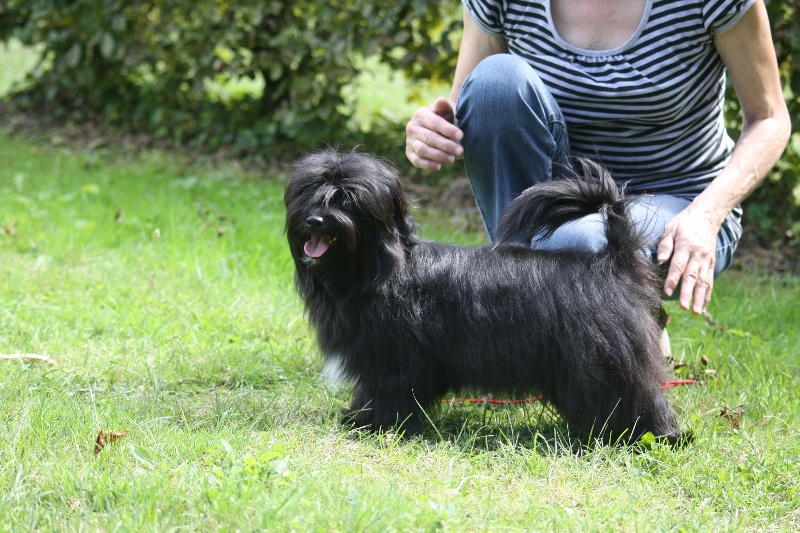 Publication : Le havre des petits charmeurs Auteur : Ghislaine Bonnet