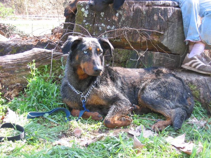 Publication : de Kalodé