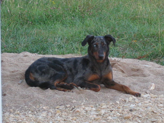 Publication : de Kalodé