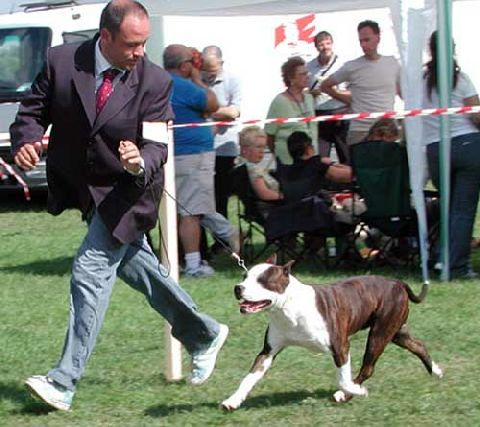 Publication : success story