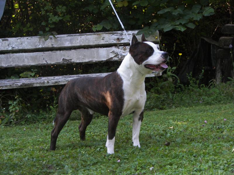 Publication : success story