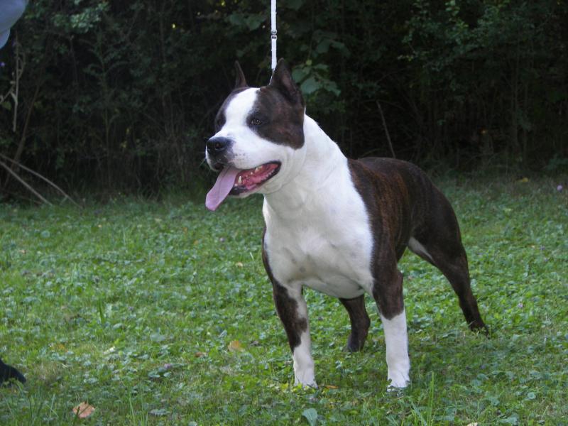 Publication : success story